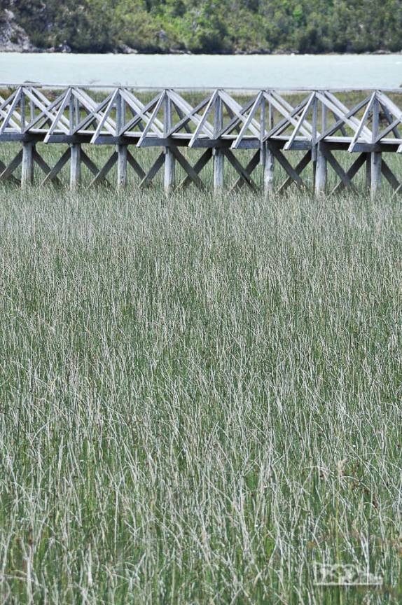 Passarela que leva à Playa Ancha, a praia de Caleta Tortel, no sul do Chile